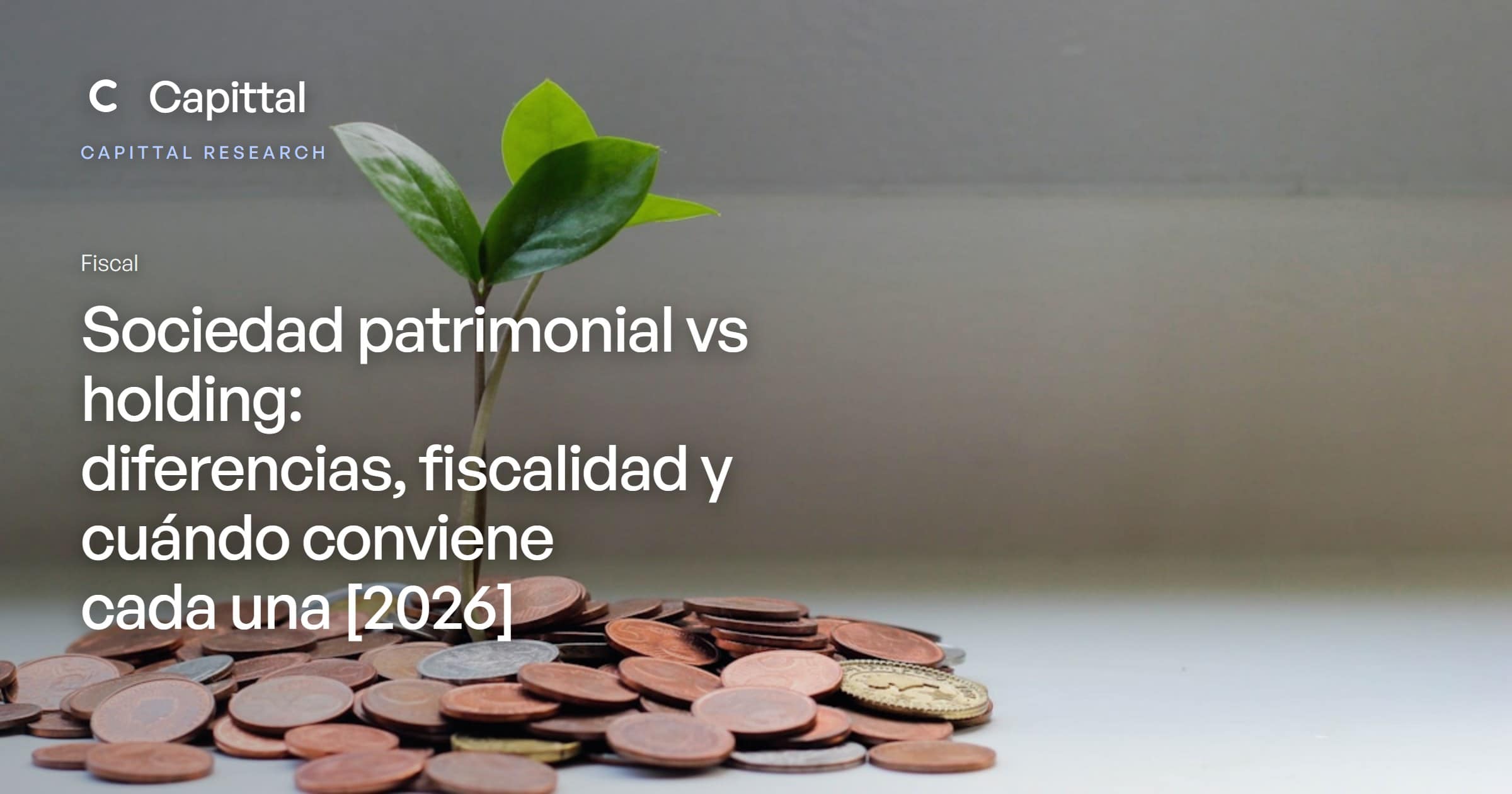 Capittal opina: ¿vendo la nave con la empresa o la separo antes?