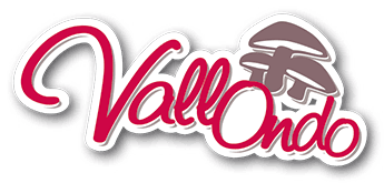 Encarna Group adquiere Setas Vallondo